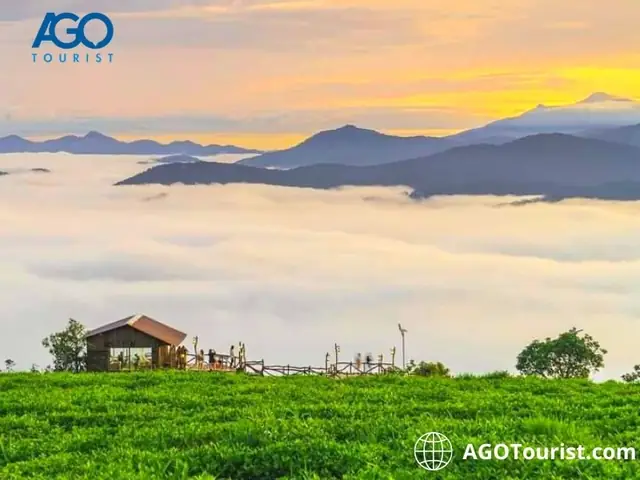 Tổng Hợp Địa Điểm Du Lịch Nổi Tiếng Đà Lạt: Các Điểm Đến Không Thể Bỏ Lỡ Cho Hội Tự Túc