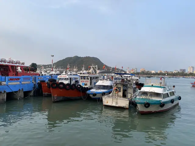 Tìm Dịch Vụ Câu Cá Biển Vũng Tàu: Các Tour Tàu, Cano Trọn Gói Và Giá Tham Khảo