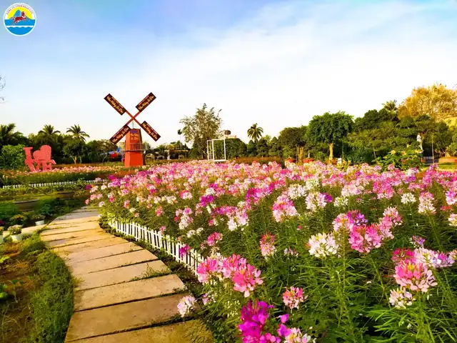 Hướng Dẫn Du Lịch Đồng Tháp Mới Nhất 2026: Top Địa Điểm, Lịch Trình Và Mẹo Chuyến Đi