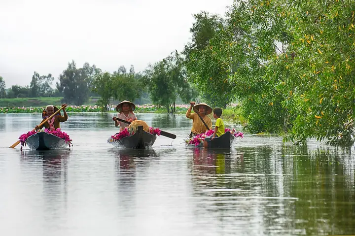 Khám Phá Du Lịch Miệt Thứ Kiên Giang: Vùng Sông Nước Và Sinh Thái Cho Người Đi Tự Túc