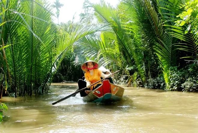 Khám Phá Du Lịch Miệt Vườn Tiền Giang: Vườn Trái Cây Và Trải Nghiệm Sông Nước Miền Tây