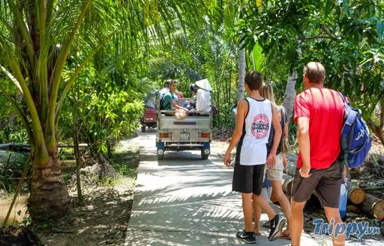 Khám Phá Du Lịch Miệt Vườn Tiền Giang: Vườn Trái Cây Và Trải Nghiệm Sông Nước Miền Tây