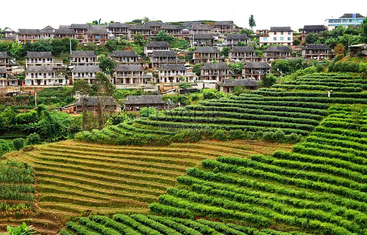 Kinh Nghiệm Du Lịch Tây Song Bản Nạp Từ A Đến Z Cho Người Mới Đi Vân Nam