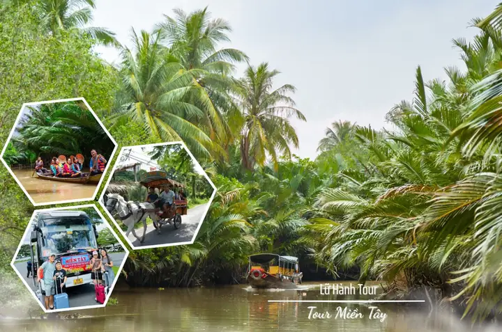 Kinh Nghiệm Du Lịch Tiền Giang Bến Tre: Cẩm Nang Từ Tour 1 Ngày Đến Lịch Trình 3 Ngày