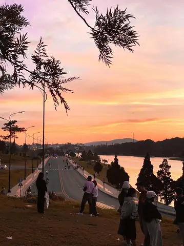 Khám Phá Dốc Sương Nguyệt Ánh Đà Lạt: Địa Điểm Check-in Hoài Cổ Và Cách Di Chuyển Cho Du Khách