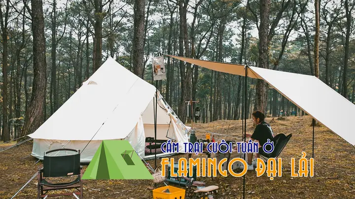 Tìm Hiểu Khoảng Cách Và Cách Di Chuyển Từ Hà Nội Đến Flamingo Đại Lải Cho Du Khách Nghỉ Dưỡng Chi Tiết Tìm Hiểu Khoảng Cách Và Cách Di Chuyển Từ Hà Nội Đến Flamingo Đại Lải Cho Du Khách Nghỉ Dưỡng Chi Tiết