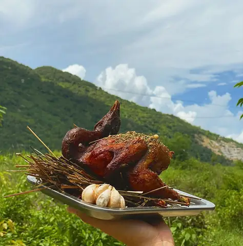 Giá Gà Đốt Ô Thum Bao Nhiêu? Giá Tham Khảo, Yếu Tố Ảnh Hưởng & Địa Chỉ Mua Uy Tín Giá Gà Đốt Ô Thum Bao Nhiêu? Giá Tham Khảo, Yếu Tố Ảnh Hưởng & Địa Chỉ Mua Uy Tín