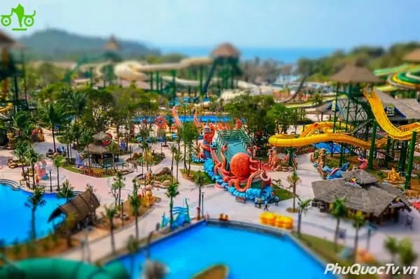 Giá Vé Aquatopia Water Park Phú Quốc 2026: Bảng Giá, Combo Cáp Treo & Ưu Đãi Dành Cho Gia Đình