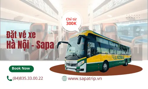 Bảng Giá Xe Đi Sapa Khứ Hồi 2026: So Sánh Các Hãng, Loại Xe Và Mẹo Đặt Vé Nhanh Nhất