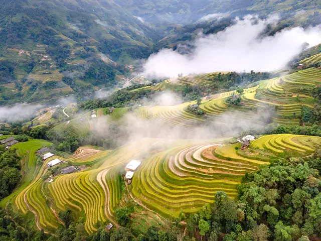 Giới Thiệu Về Ruộng Bậc Thang Hoàng Su Phì: Vị Trí, Quy Mô Và Giá Trị Di Sản