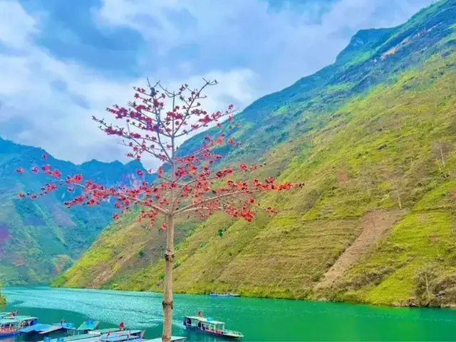 Khám Phá Hà Giang Tháng 4 Có Gì Đẹp: Danh Sách Điểm Đến Và Trải Nghiệm Nổi Bật