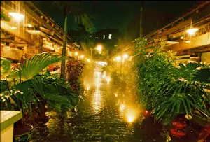 Khám Phá Nhà Hàng Hải Sản Phố Biển Tràng Thi: Địa Chỉ Ăn Hải Sản Tươi Ngon Giữa Lòng Hà Nội