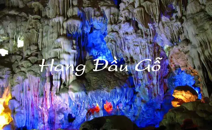 Hang Đầu Gỗ Ở Vịnh Hạ Long: Định Vị, Khoảng Cách, Và Lý Do Tên Gọi
