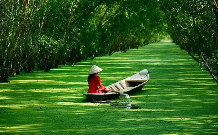 Hệ Sinh Thái Rừng Tràm Trà Sư: Đa Dạng Sinh Học, Vai Trò Bảo Tồn Và Tiềm Năng Du Lịch Sinh Thái
