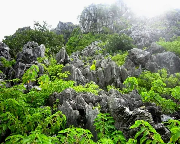 Khám Phá Hình Ảnh Núi Voi Hải Phòng: Danh Thắng Độc Đáo Mang Hình Dáng Chú Voi Phủ Phục