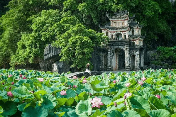 Chiêm Ngưỡng Hình Ảnh Tam Cốc Ninh Bình: Khung Cảnh Thiên Nhiên Và Hang Động Qua Những Bức Ảnh Đẹp Chiêm Ngưỡng Hình Ảnh Tam Cốc Ninh Bình: Khung Cảnh Thiên Nhiên Và Hang Động Qua Những Bức Ảnh Đẹp