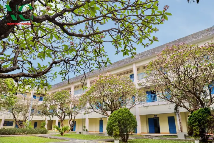 Hình Ảnh Trường Đại Học Quy Nhơn: Tổng Hợp Album, Phòng Học, Ký Túc Xá Và Khuôn Viên Đẹp Nhất
