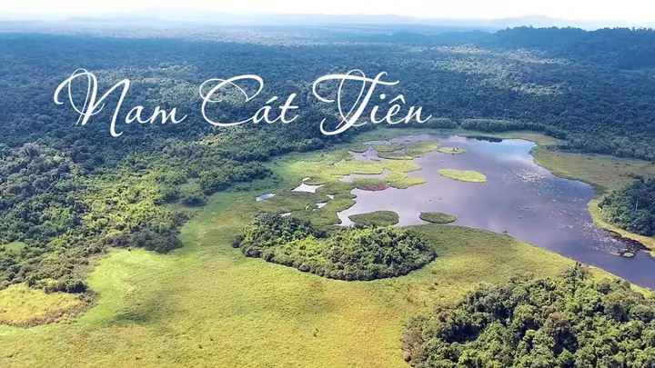 Thư Viện Ảnh Vườn Quốc Gia Cát Tiên – Hình Ảnh Tuyệt Đẹp, Chi Tiết Cho Du Khách Và Nhiếp Ảnh Gia