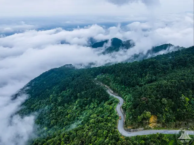 Chiêm Ngưỡng Hình Ảnh Vườn Quốc Gia Tam Đảo – Khung Cảnh Thiên Nhiên Hoang Sơ Và Trải Nghiệm Thực Tế
