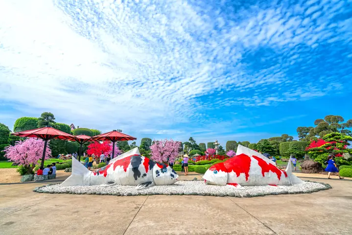 Khám Phá Hồ Cá Koi Nhật Bản Tại Hóc Môn: Công Viên Rinrin Park Và Kinh Nghiệm Tham Quan