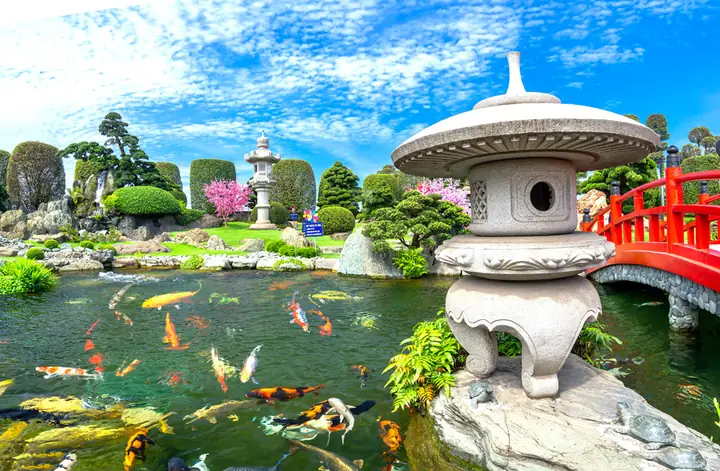Khám Phá Hồ Cá Koi Nhật Bản Tại Hóc Môn: Công Viên Rinrin Park Và Kinh Nghiệm Tham Quan