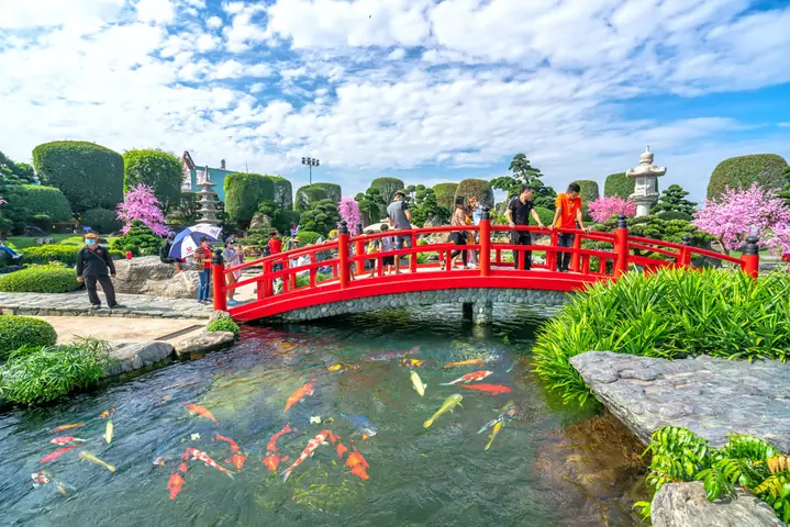 Khám Phá Hồ Cá Koi Nhật Bản Tại Hóc Môn: Công Viên Rinrin Park Và Kinh Nghiệm Tham Quan