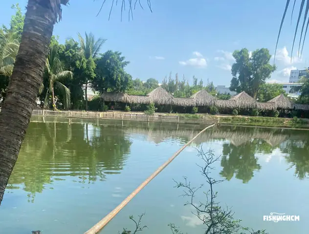 Tổng Hợp Các Hồ Câu Cá Giải Trí Quận 12 Cho Người Muốn Đi Câu Cuối Tuần