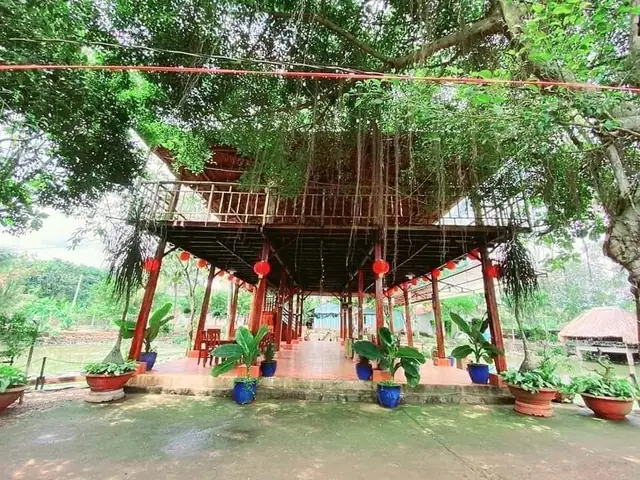 Khám Phá Hồ Câu Cá Giải Trí Sen Mộc: Giá Cần, Thể Lệ Và Trải Nghiệm Cho Dân Câu Cá Tại Củ Chi