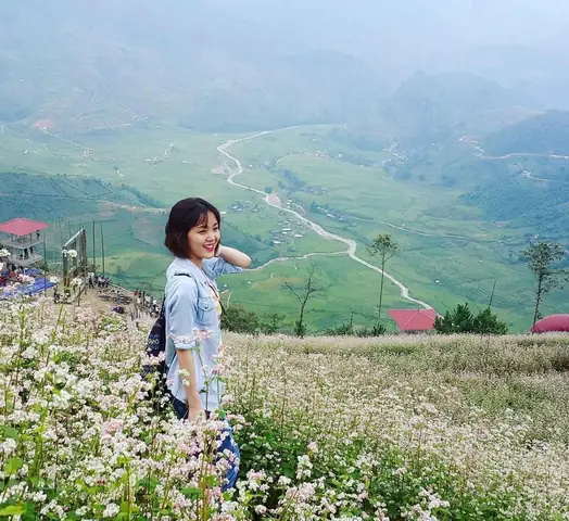 Xác Định Hoa Tam Giác Mạch Nở Mùa Nào Và Tháng Mấy Tại Cao Nguyên Đá Hà Giang Cho Du Khách