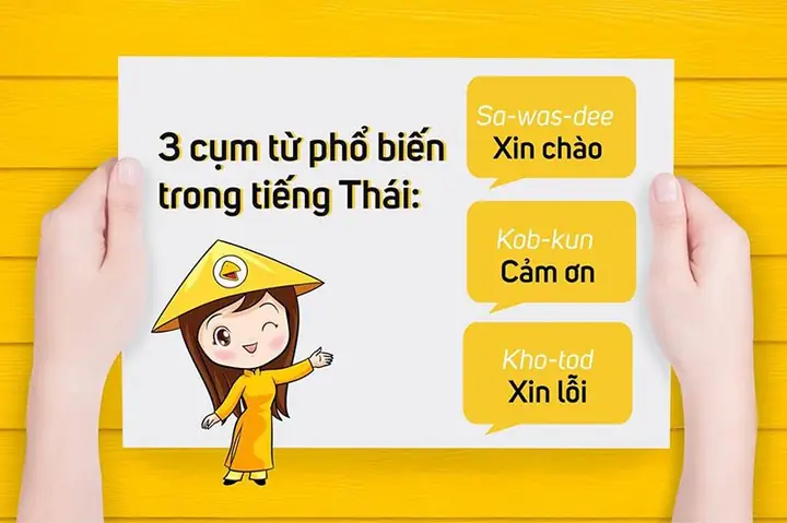 Giải Đáp Thực Tế: Học Tiếng Thái Có Khó Không Với Người Mới Tự Học?