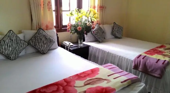 Review Khách Sạn Thành Đạt Nam Kỳ Khởi Nghĩa Đà Lạt: Địa Chỉ, Giá Phòng Và Đánh Giá Cho Du Khách