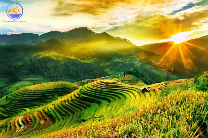 Khí Hậu Sapa Như Thế Nào? Đánh Giá Chi Tiết Theo Mùa Và Lời Khuyên Du Lịch