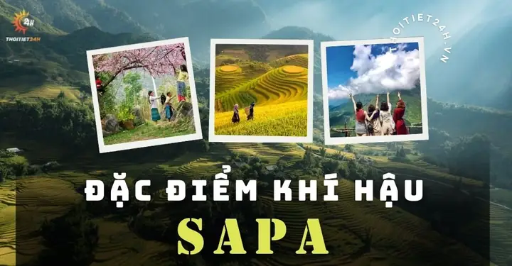 Khí Hậu Sapa Như Thế Nào? Đánh Giá Chi Tiết Theo Mùa Và Lời Khuyên Du Lịch