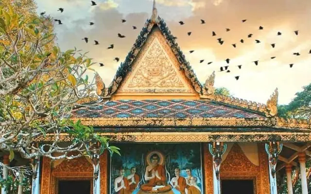 Khám Phá Khu Du Lịch Chùa Dơi Sóc Trăng: Điểm Đến Tâm Linh Độc Đáo Cho Du Khách Yêu Văn Hóa Khmer