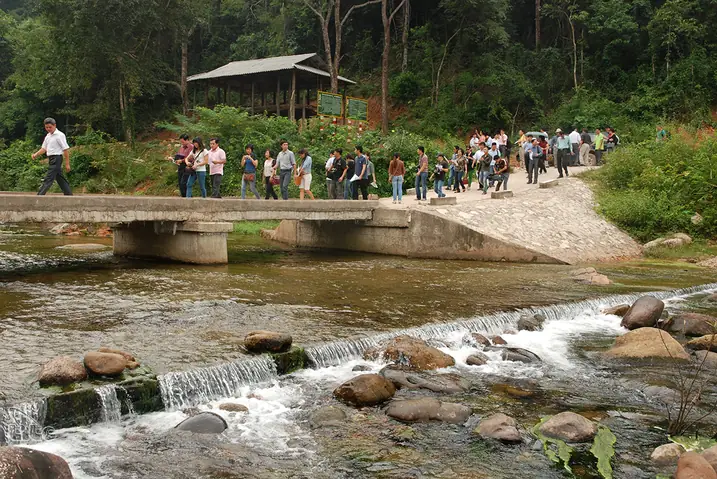 Khám Phá Khu Du Lịch Khe Rỗ Bắc Giang: Điểm Đến Sinh Thái Rừng Nguyên Sinh Cho Du Khách Yêu Thiên Nhiên