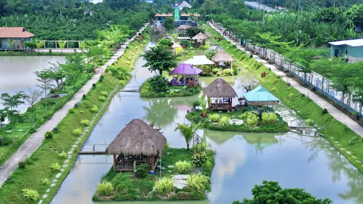 Khám Phá Các Khu Du Lịch Sinh Thái Tiền Giang Hấp Dẫn Nhất Dành Cho Du Khách