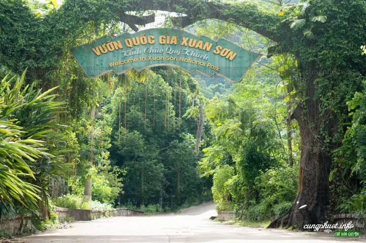 Khám Phá Các Khu Du Lịch Ở Phú Thọ: Danh Sách Địa Điểm Nổi Bật Cho Người Muốn Lên Lịch Trình