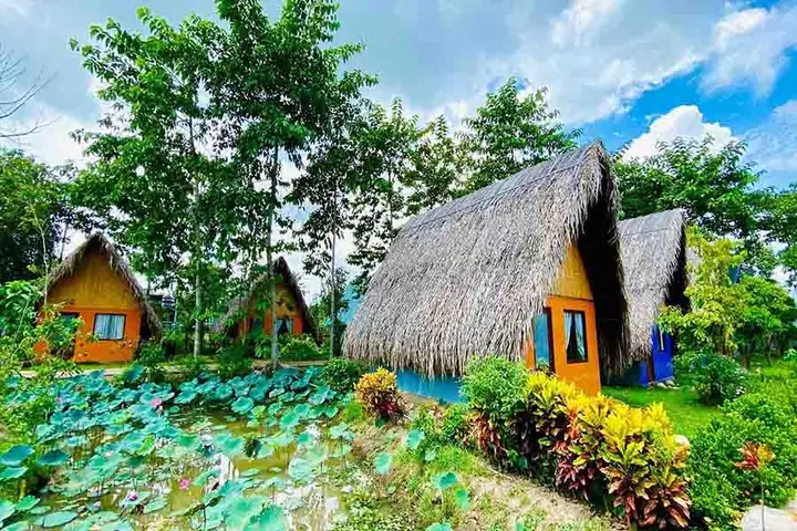 Khu Du Lịch Sinh Thái Bạc Liêu: Hướng Dẫn Chi Tiết Các Điểm Đến Nổi Bật Và Mẹo Du Lịch Thông Minh