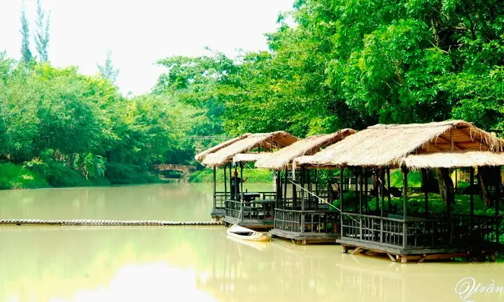 Khám Phá Khu Du Lịch Sinh Thái Cao Minh Đồng Nai (đảo Cao Minh): Địa Chỉ, Giá Vé & Trải Nghiệm Cho Du Khách Từ Sài Gòn