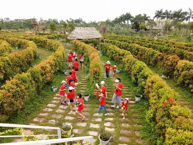 Trải Nghiệm Khu Du Lịch Sinh Thái Đầm Trành: Hướng Dẫn Tham Quan, Giá Vé Và Hoạt Động Cho Du Khách Hà Nội