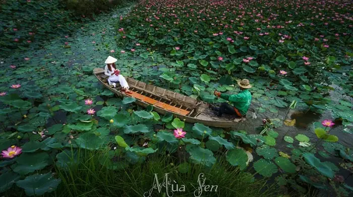 Khu Du Lịch Sinh Thái Đồng Tháp Mười: Hướng Dẫn Chi Tiết Cách Tới, Điểm Tham Quan Và Trải Nghiệm Cho Du Khách