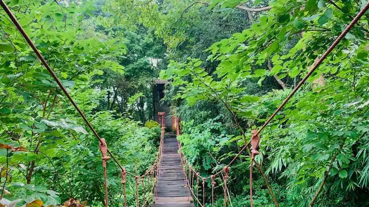 Khu Du Lịch Sinh Thái Troh Bư Buôn Đôn – Hướng Dẫn Chi Tiết Cho Du Khách