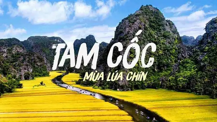 Khám Phá Khu Du Lịch Tam Cốc Ninh Bình: Vị Trí, Giá Vé Và Giờ Mở Cửa Cho Du Khách