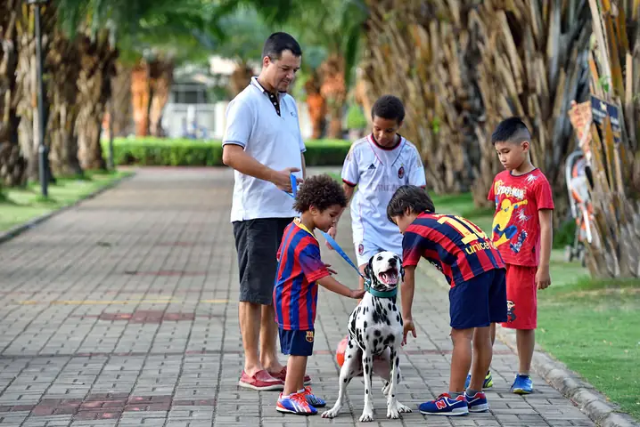Khu Vực Nào Ở Sài Gòn Có Đông Người Nước Ngoài Sinh Sống Nhất? Hướng Dẫn Chi Tiết Cho Người Định Cư Khu Vực Nào Ở Sài Gòn Có Đông Người Nước Ngoài Sinh Sống Nhất? Hướng Dẫn Chi Tiết Cho Người Định Cư