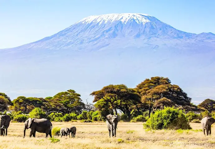 Giải Đáp: Kilimanjaro Là Ngọn Núi Cao Nhất Châu Phi – Biểu Tượng Sừng Sững Của Lục Địa Đen