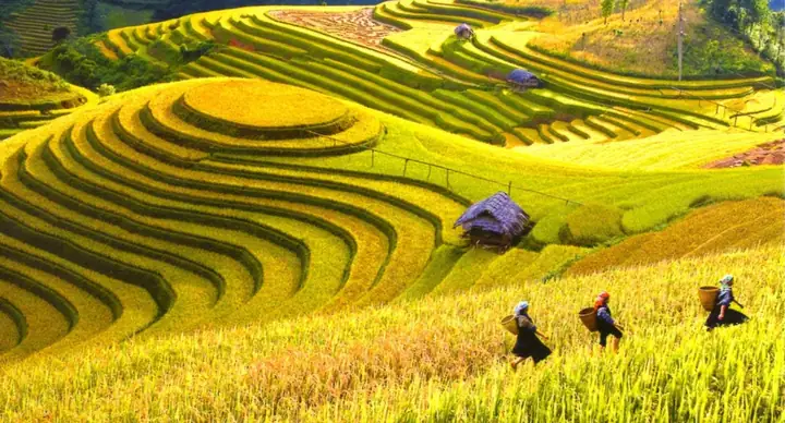 Tổng Hợp Kinh Nghiệm Du Lịch Mai Châu Hòa Bình Tự Túc: Cẩm Nang Từ A-z Cho Chuyến Đi Ngắn Ngày Tổng Hợp Kinh Nghiệm Du Lịch Mai Châu Hòa Bình Tự Túc: Cẩm Nang Từ A-z Cho Chuyến Đi Ngắn Ngày
