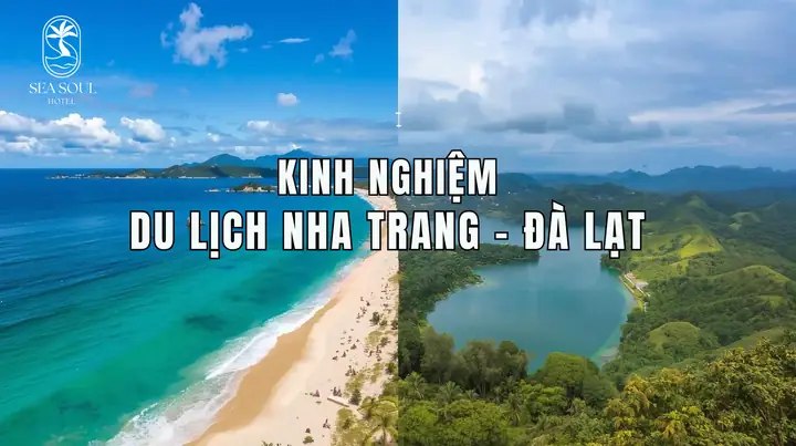 Tổng Hợp Kinh Nghiệm Du Lịch Nha Trang Đà Lạt Cho Người Tự Túc: Lịch Trình, Di Chuyển Và Chuẩn Bị Hành Trình