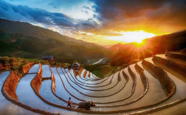 Kinh Nghiệm Đi Mù Cang Chải Tự Túc Từ Hà Nội: Lộ Trình, Mùa Đẹp Nhất & Địa Điểm Không Thể Bỏ Lỡ