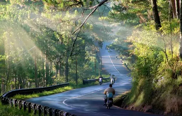 Tổng Hợp Kinh Nghiệm Phượt Đà Lạt Bằng Xe Máy Chi Tiết Cho Người Lần Đầu Đi Xa Tổng Hợp Kinh Nghiệm Phượt Đà Lạt Bằng Xe Máy Chi Tiết Cho Người Lần Đầu Đi Xa