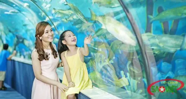 Kinh Nghiệm Đi Thủy Cung Times City Hà Nội: Lịch Trình, Vé, Mẹo Tránh Đông Và Trải Nghiệm Tối Ưu Kinh Nghiệm Đi Thủy Cung Times City Hà Nội: Lịch Trình, Vé, Mẹo Tránh Đông Và Trải Nghiệm Tối Ưu